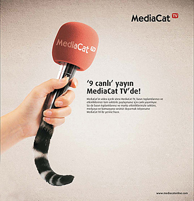 MediaCatTV Canli Yayin_Tumb-NEW